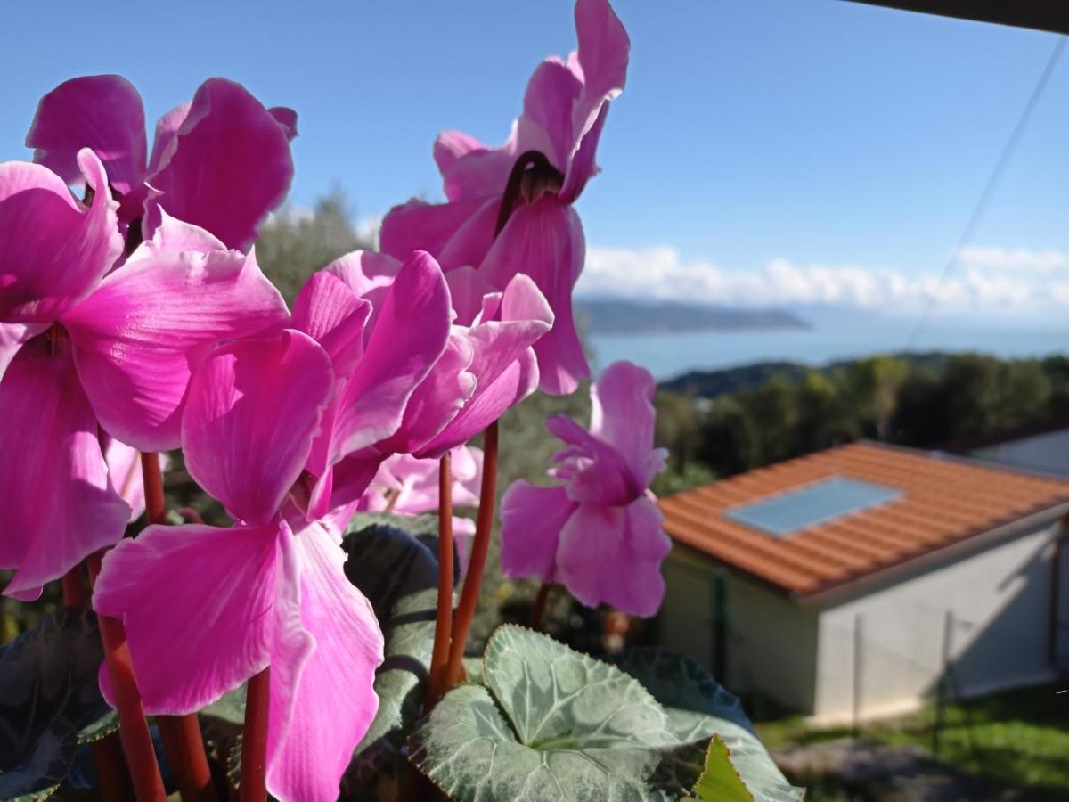 Le Vigne Di Lenf Daire Porto Venere Dış mekan fotoğraf