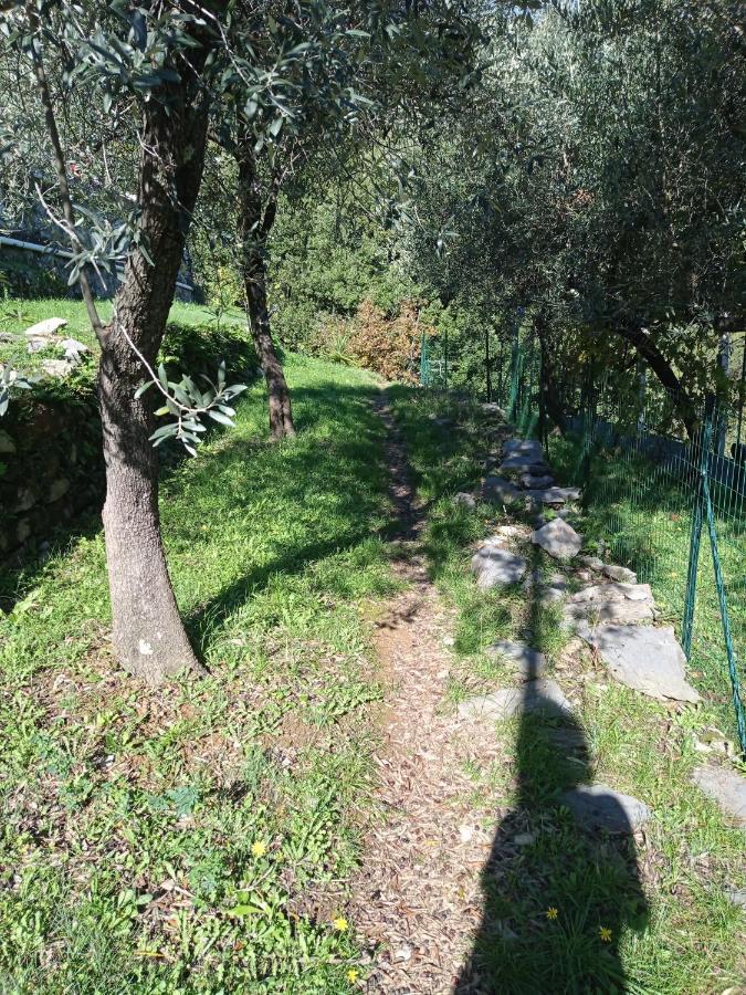 Le Vigne Di Lenf Daire Porto Venere Dış mekan fotoğraf